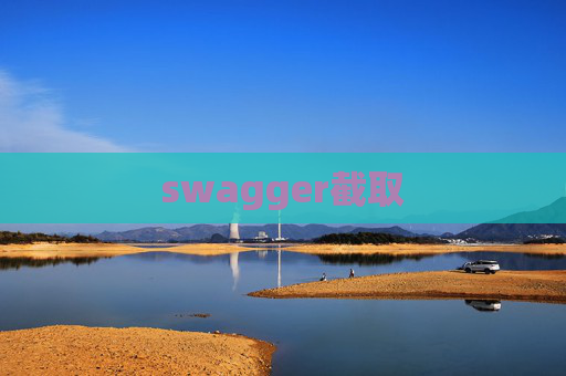 swagger截取